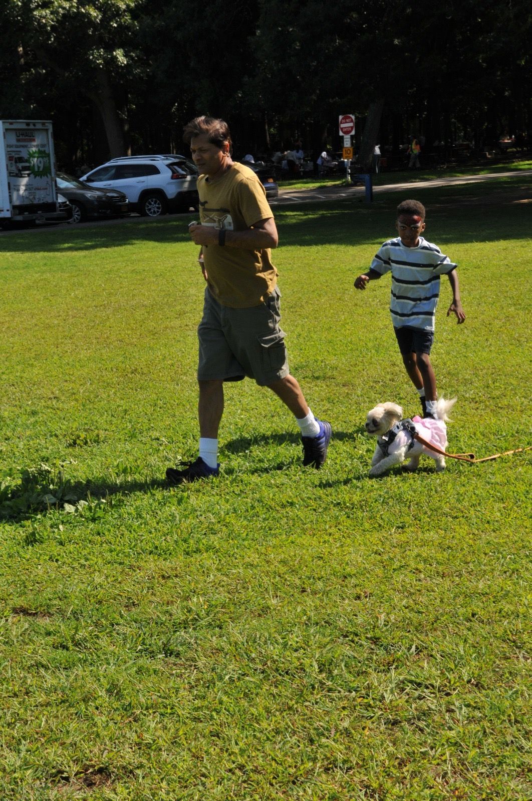 Two people walking a small dog across a sunny grassy park