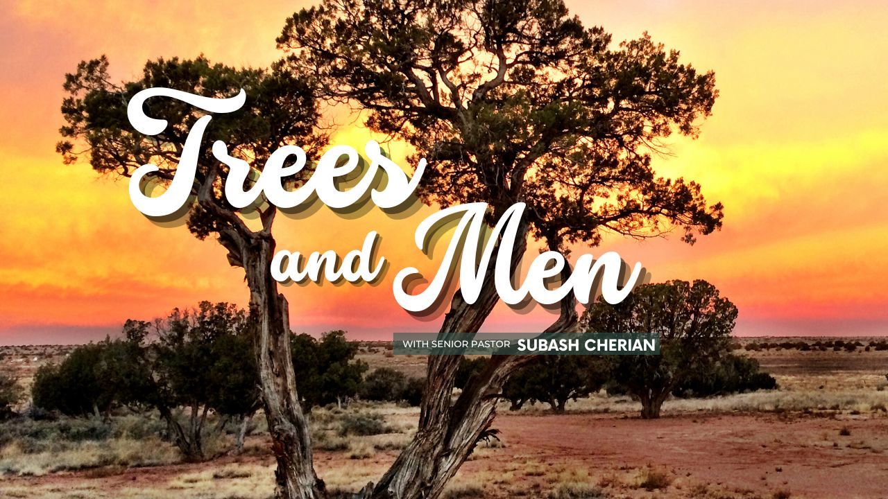 A poster for trees and men shows a tree in the middle of a desert.