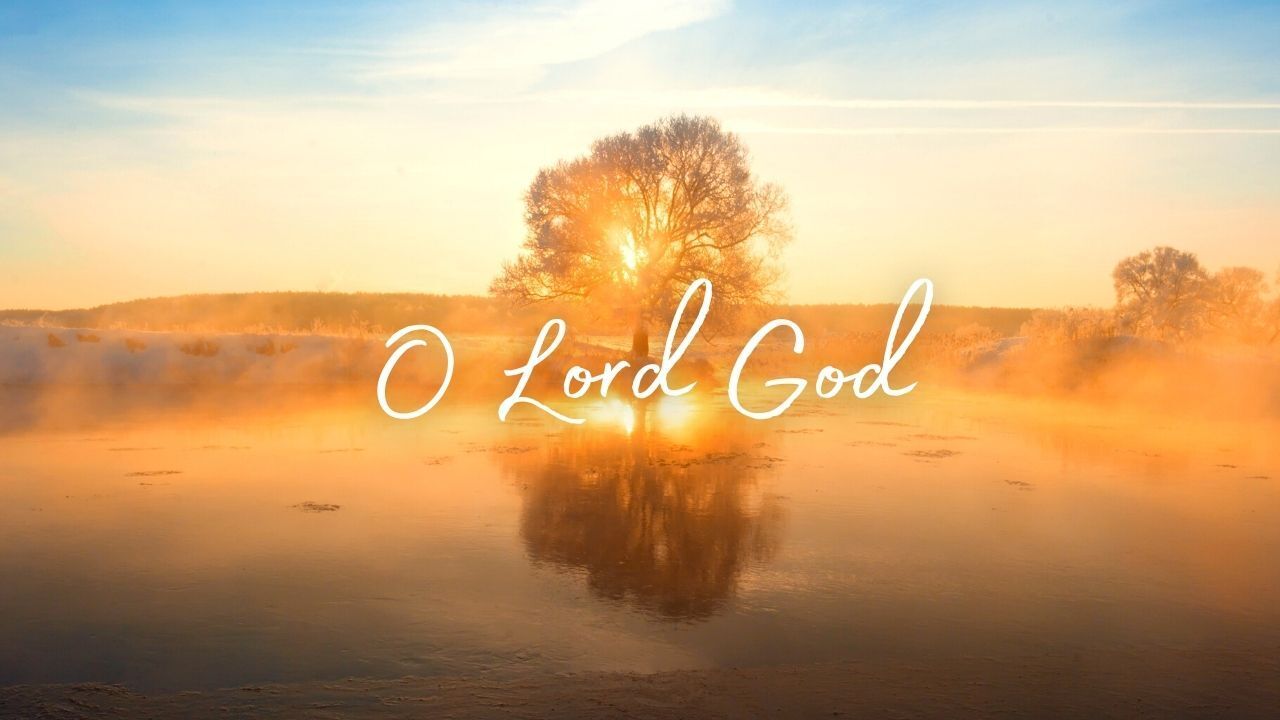 A tree in the middle of a field with the words `` o lord god '' written above it.