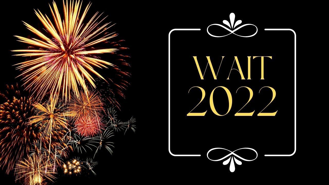 A picture of fireworks and the words `` wait 2022 ''