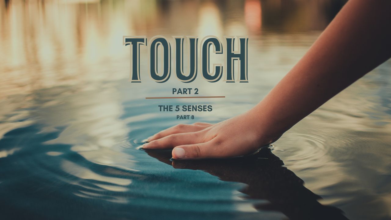 A person is touching the water with their hand.