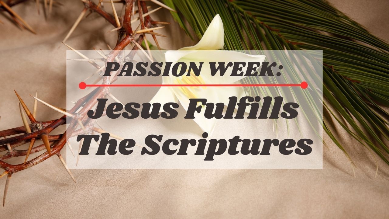 Passion week : jesus fulfills the scriptures