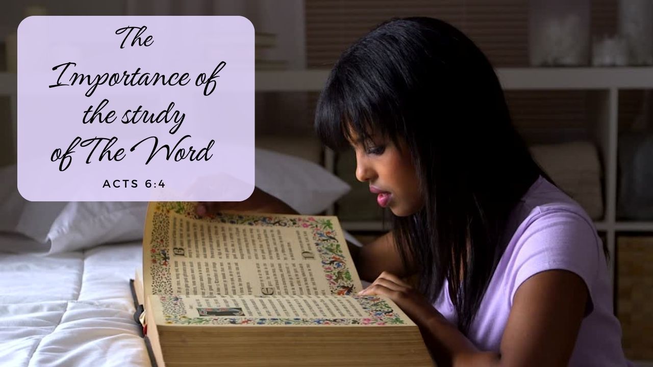 A woman is sitting on a bed reading a bible.