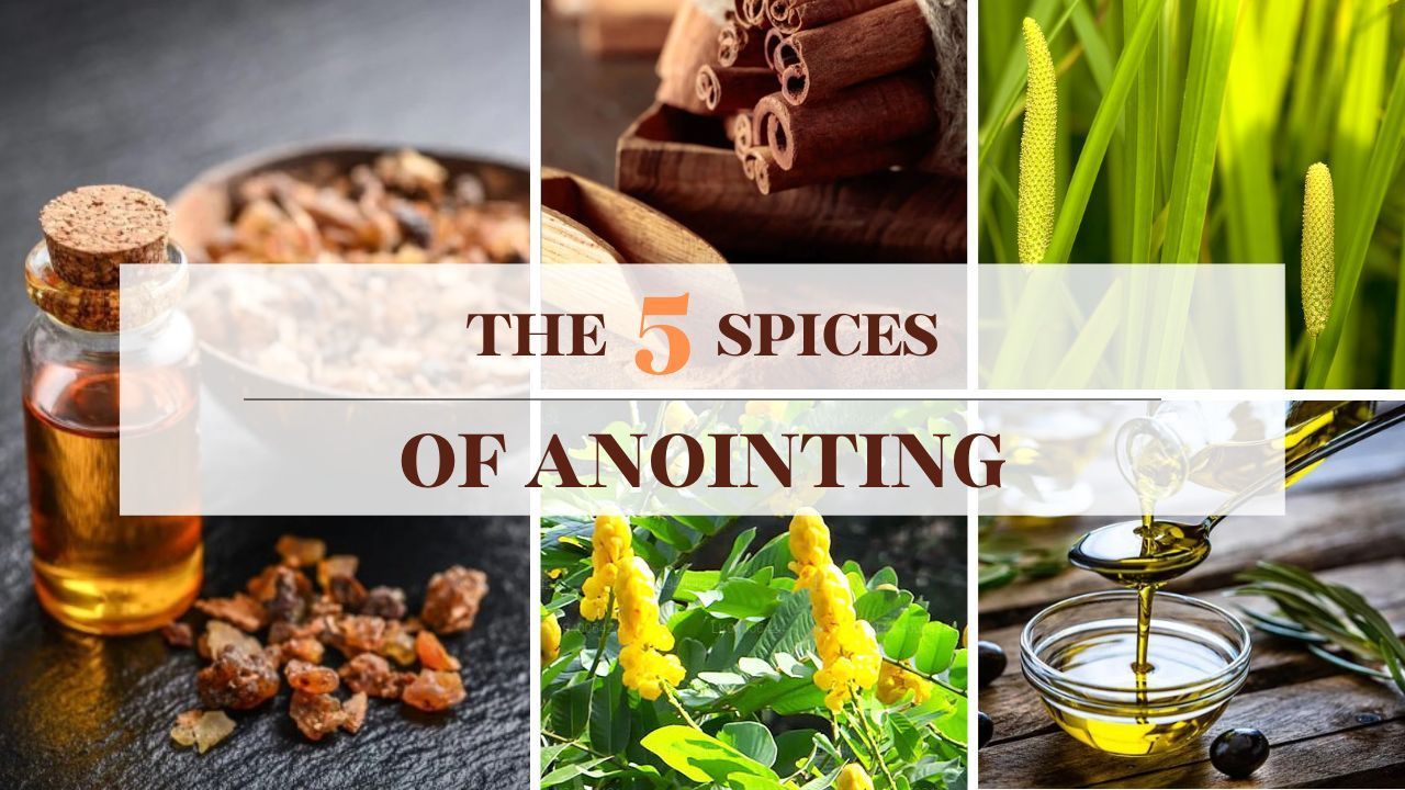 A collage of pictures of spices and plants with the words `` the 5 spices of anointing ''.