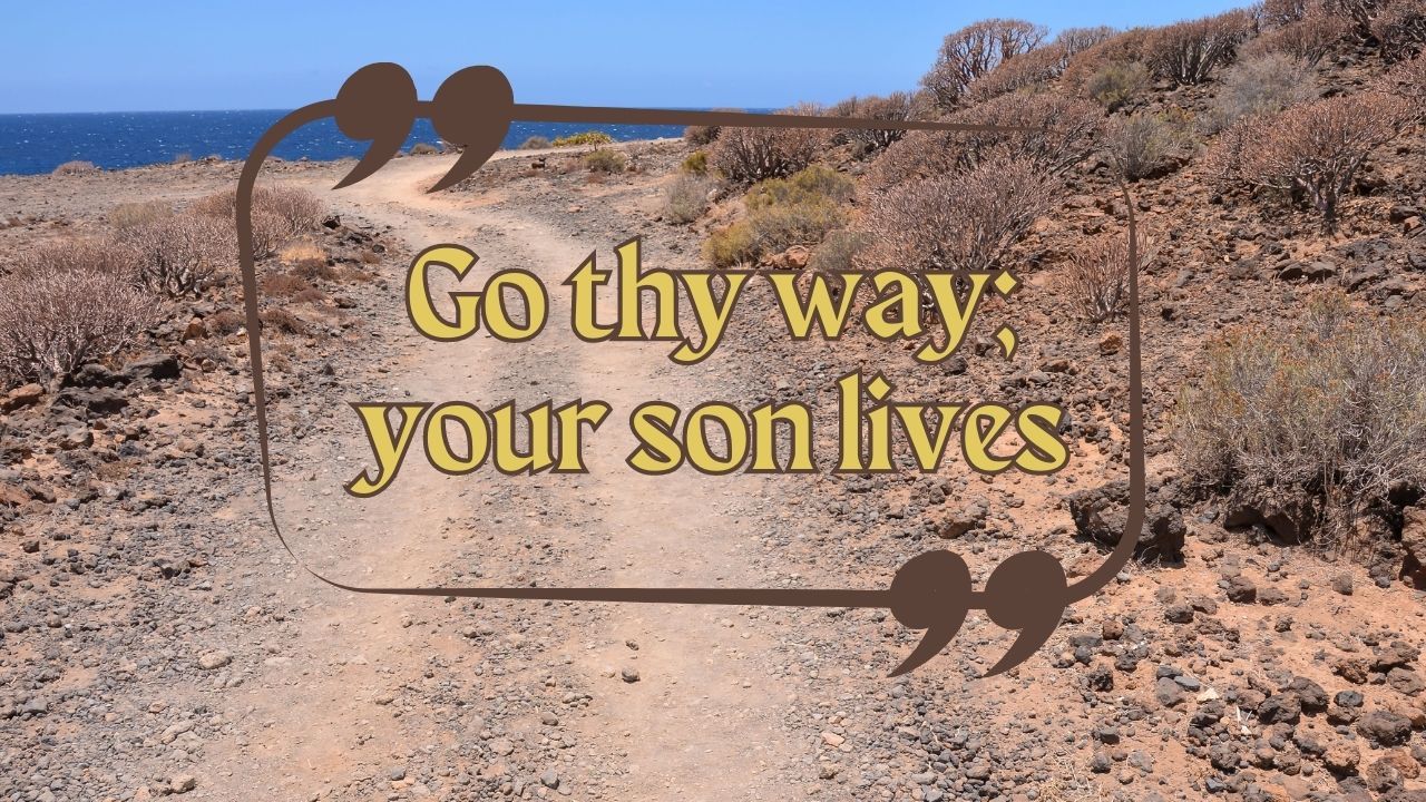 A quote that says go thy way your son lives