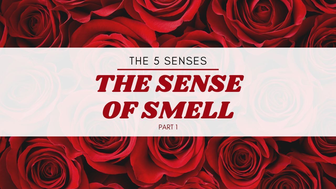 A bunch of red roses with the words `` the sense of smell '' written on it.