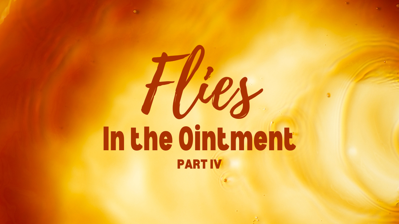Flies in the ointment part iv is a video about flies in the ointment.