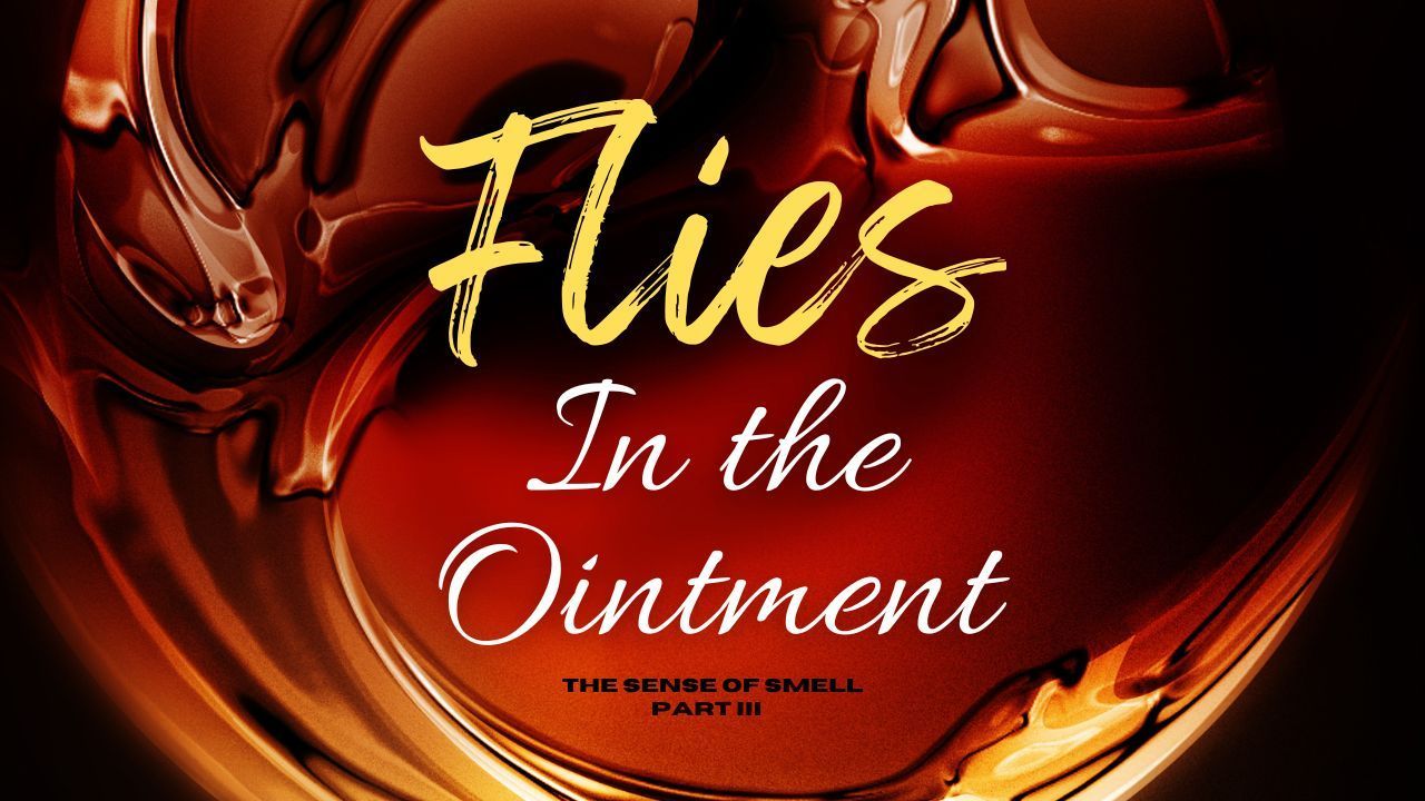 A poster for flies in the ointment shows a glass of wine