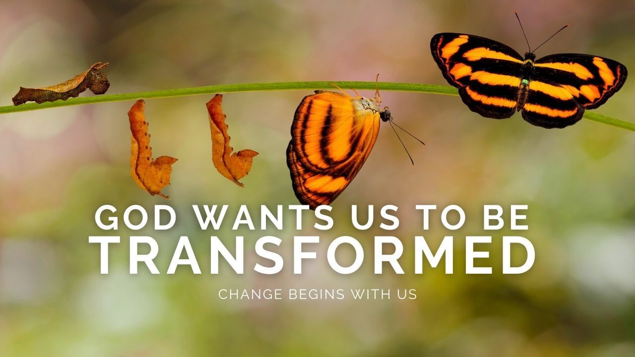 A butterfly is coming out of a caterpillar with the words `` god wants us to be transformed ''.