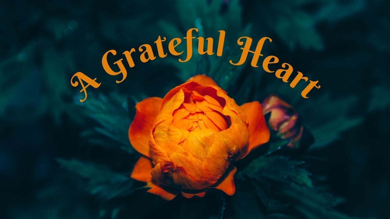 A grateful heart logo with a flower in the center