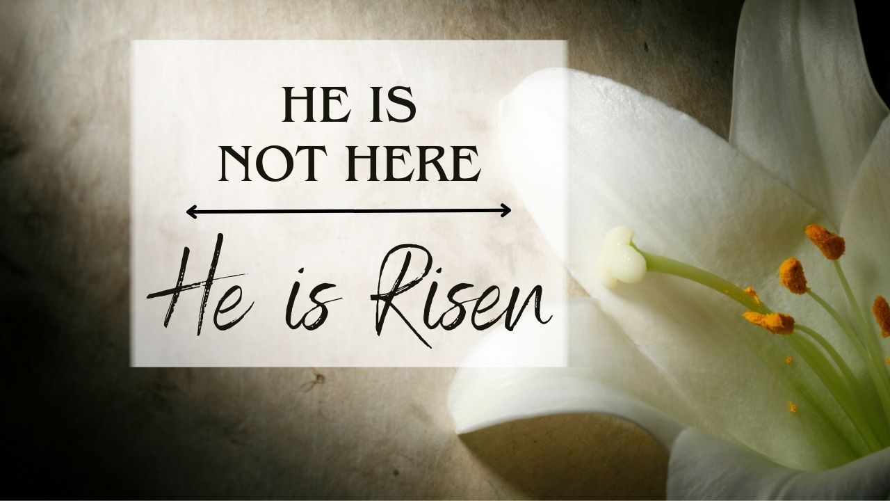 A white lily with a sign that says he is not here he is risen