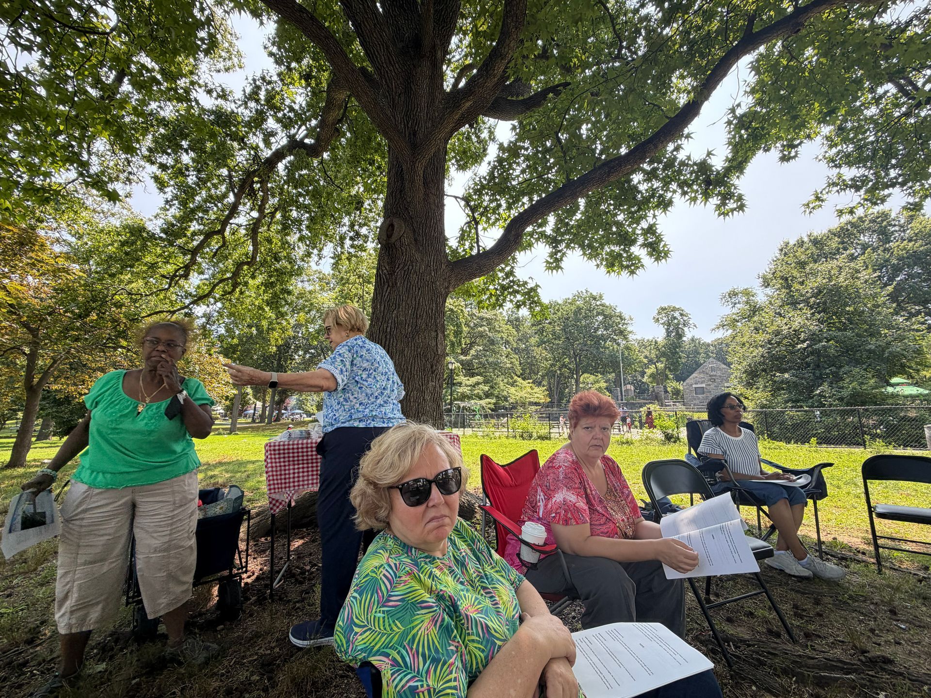 People seated under a large tree at an outdoor gathering, with papers and folding chairs in a grassy park.