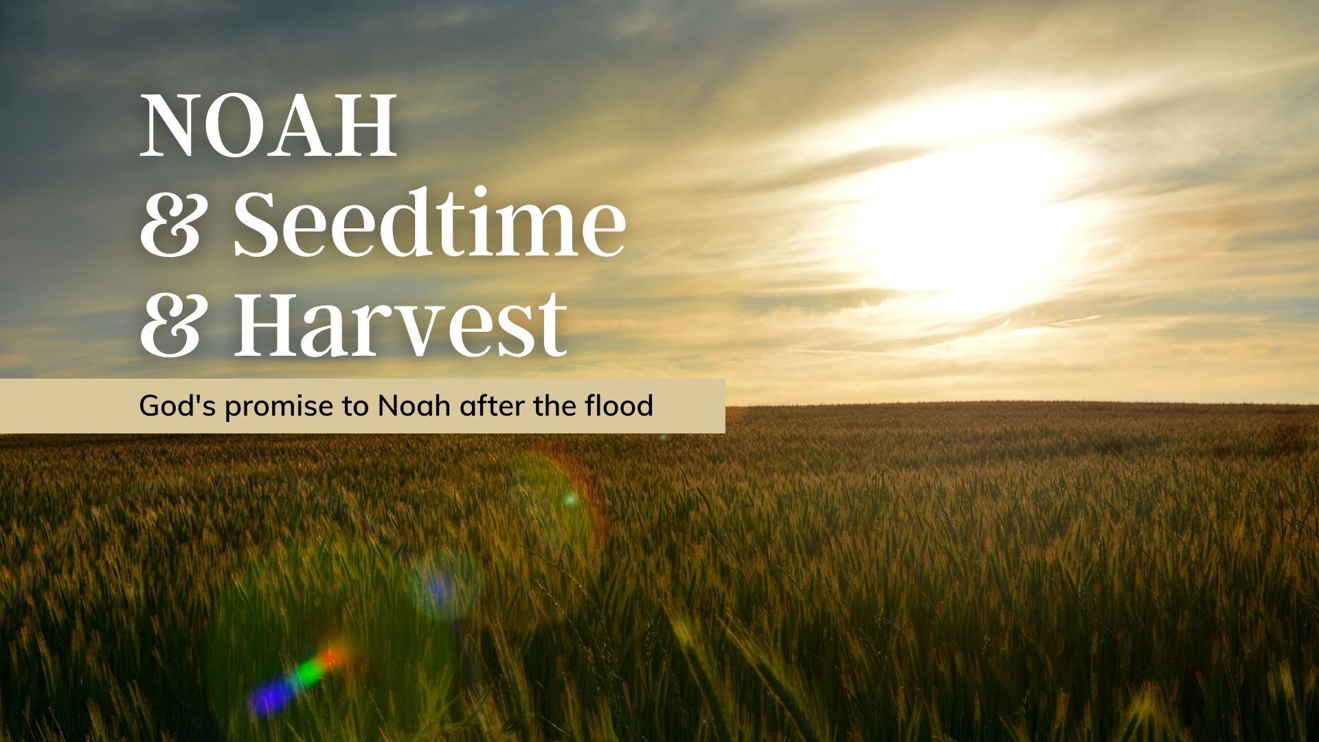 The sun is shining through the clouds over a field of wheat.