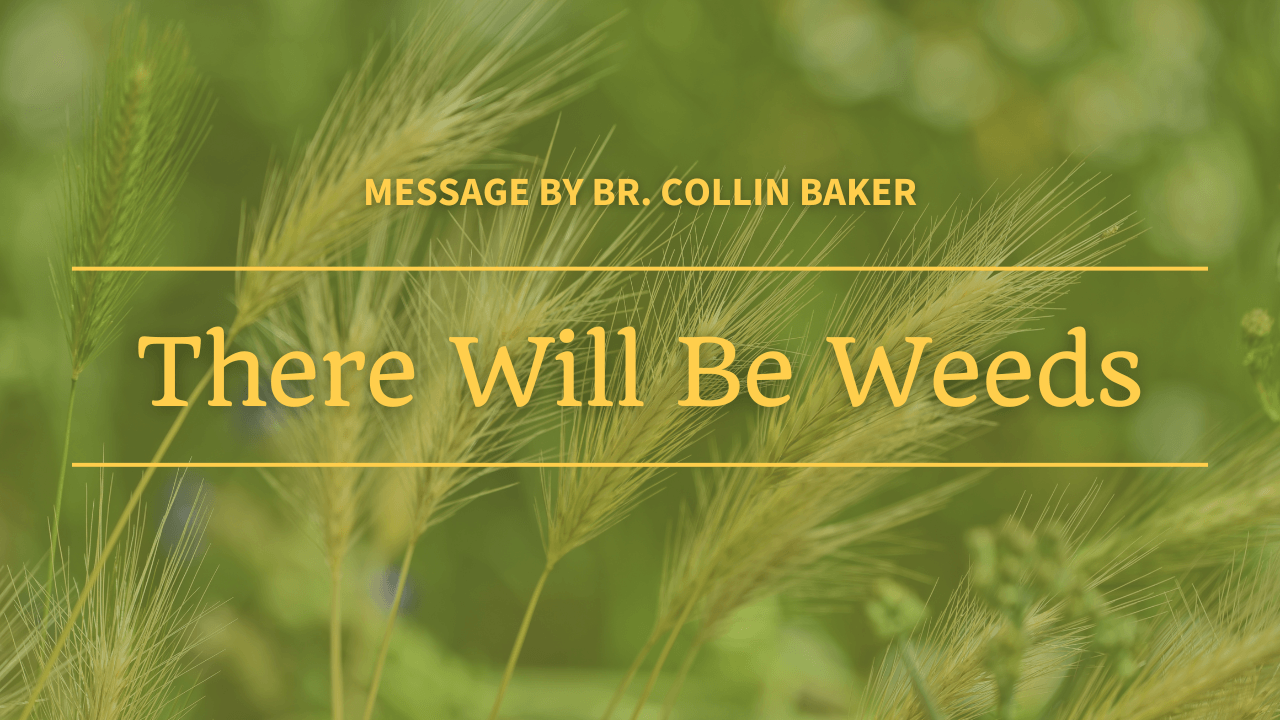 There will be weeds message by br . collin baker
