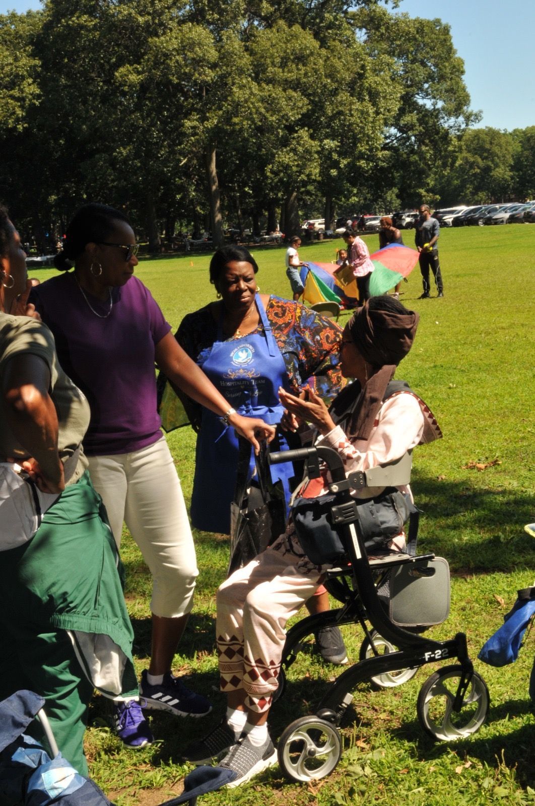 People gathered on a sunny park lawn, with one person seated in a wheelchair and others chatting nearby.
