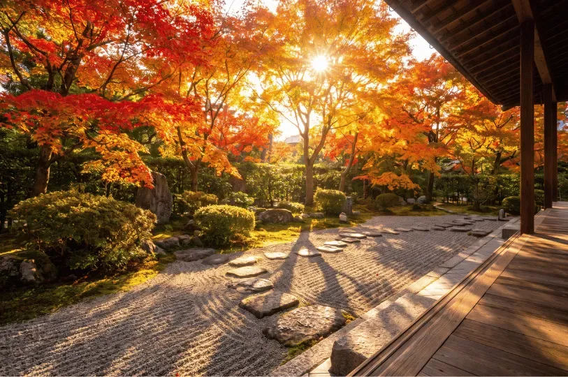 Sunlight filters through vibrant autumn foliage in a tranquil Japanese zen garden. A path of steppin