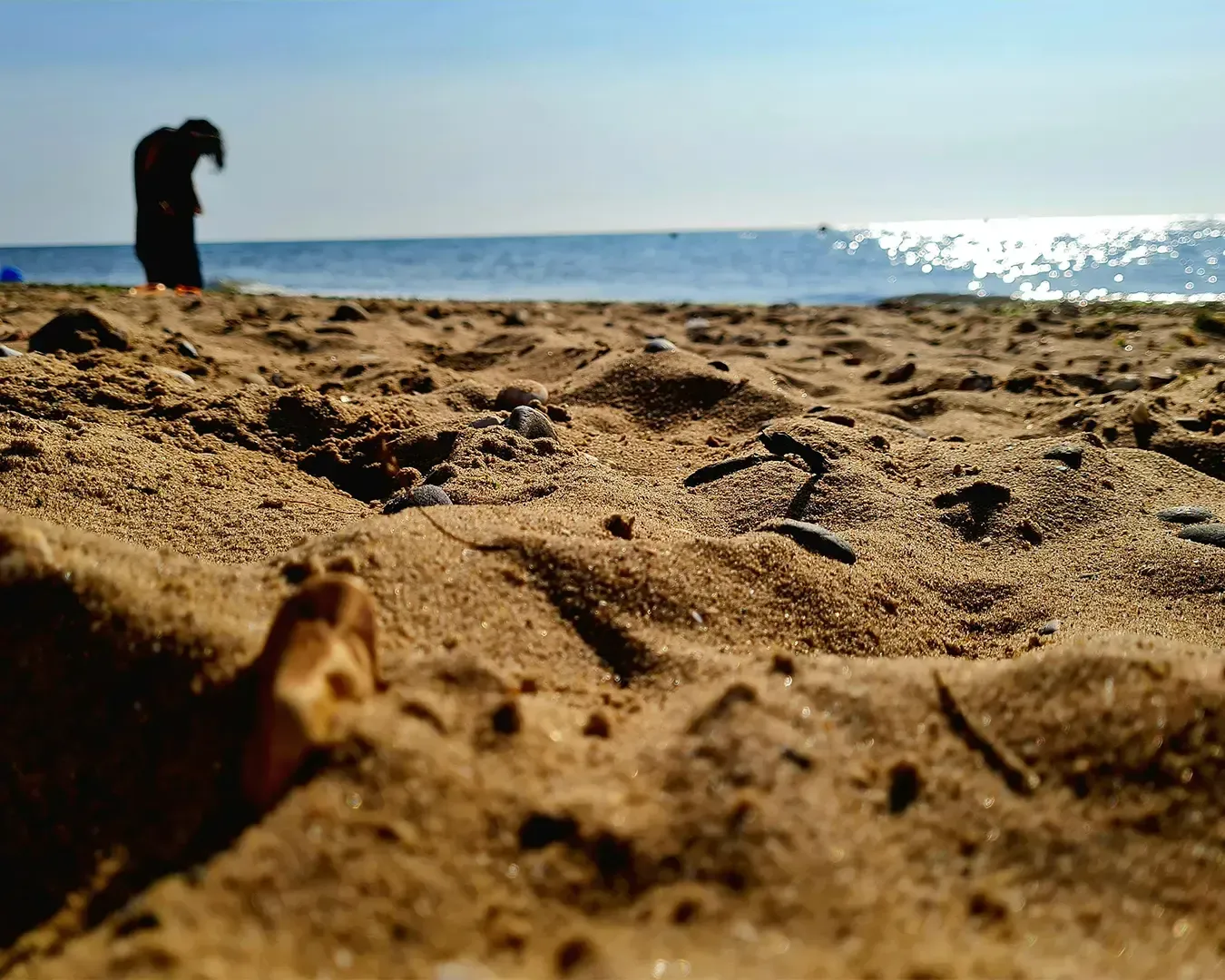 A close-up view of soft beach sand stretching across the shoreline, with natural textures and subtle patterns formed by wind and footsteps.