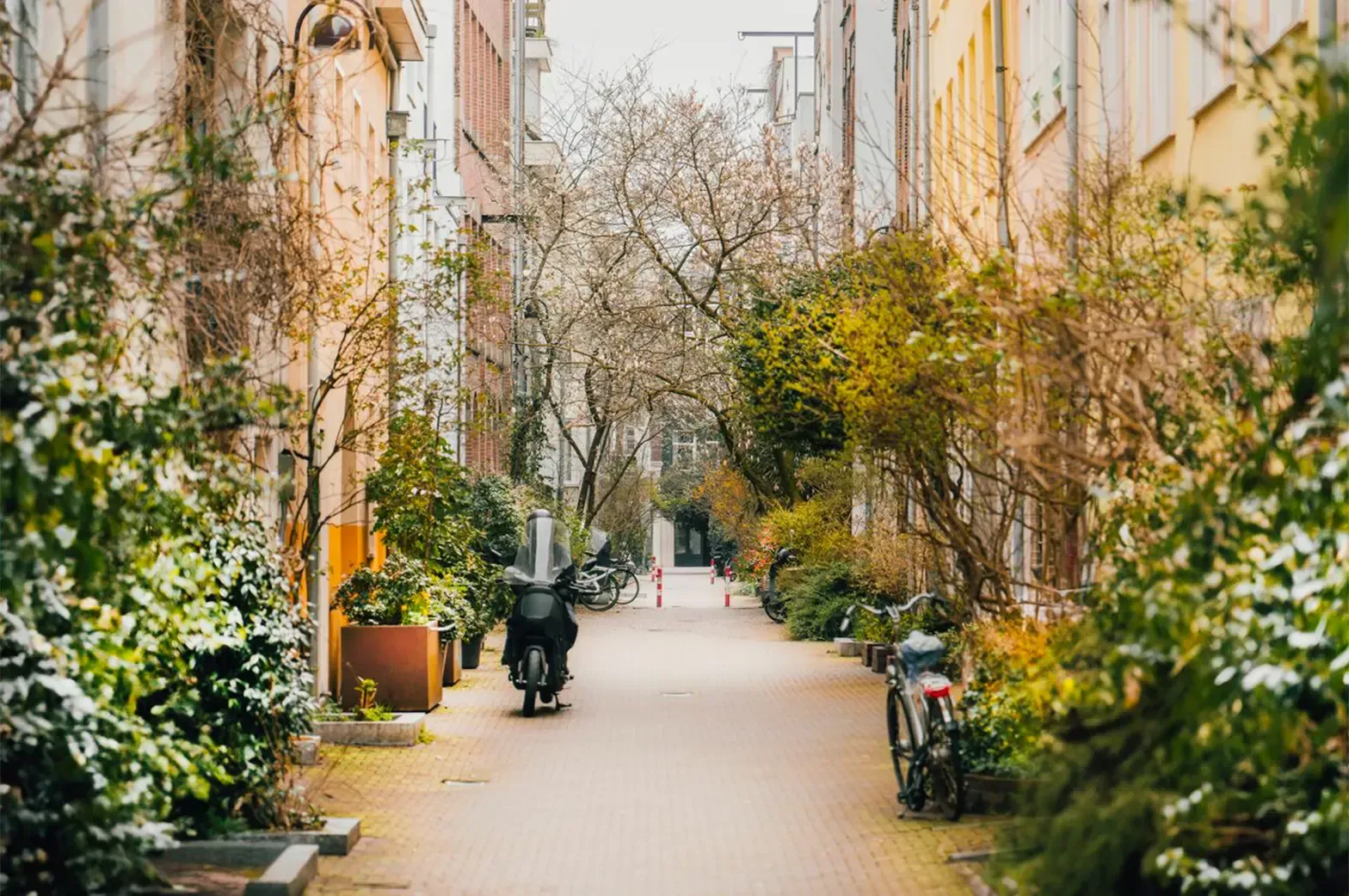 Wide angle view of a street overgrown with greenery with residential houses lining both sides, a motorcycle and a bike are parked on either side with the end of the street at the end.