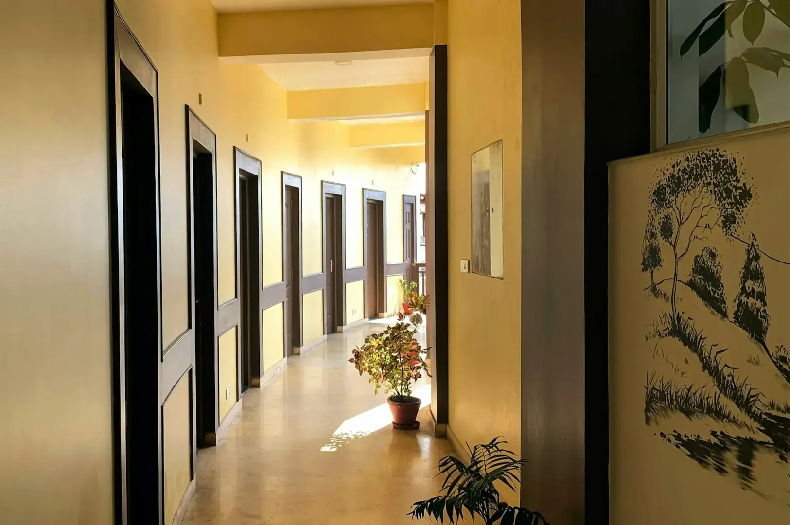 A long corridor curving the the right, with different guest room doors lining the left wall and plant pots and painting decorations on the right.