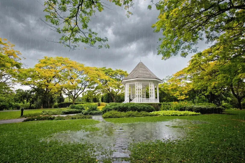 A classic white gazebo in the Singapore Botanic Gardens surrounded by vibrant green foliage and yellow trees under a overcast sky, with rain creating small puddles on the lawn.