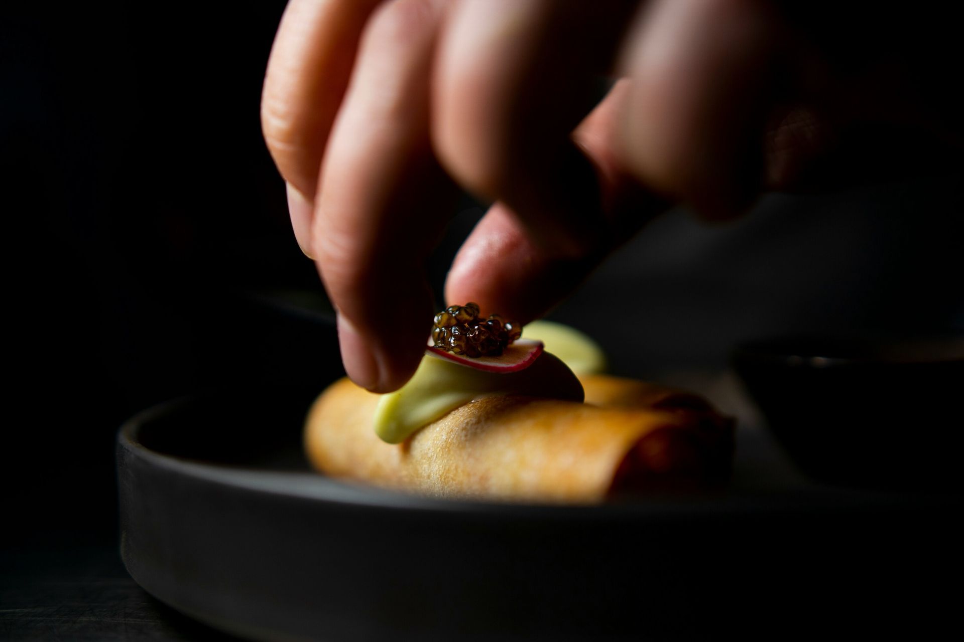 Travelling Assistant : A fine dining dish plated with artistic precision.