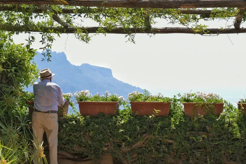 An older man in a straw hat and crisp light blue shirt stands under a rustic wooden pergola, gazing 