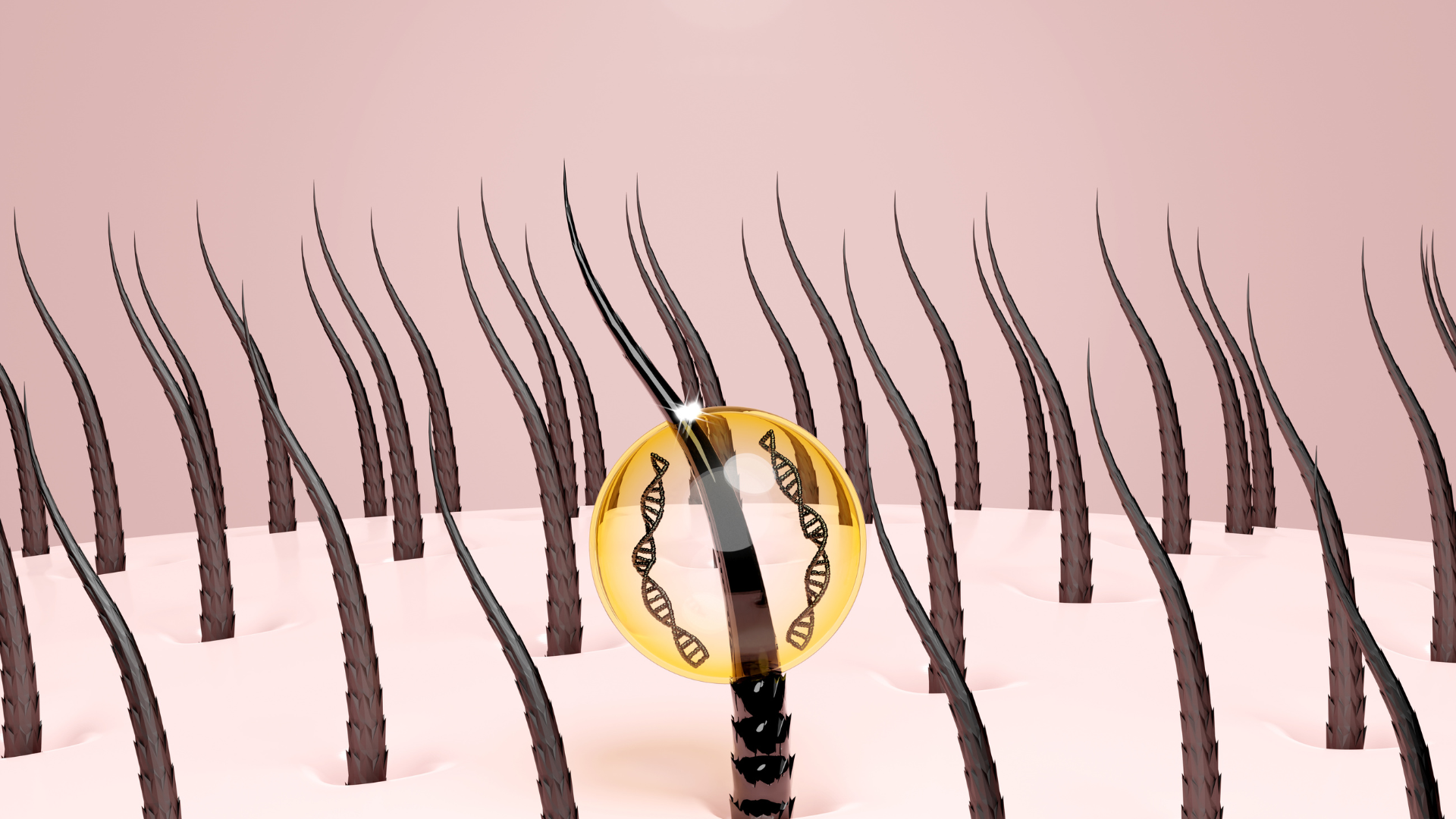 A magnifying glass is looking at a bunch of hair.