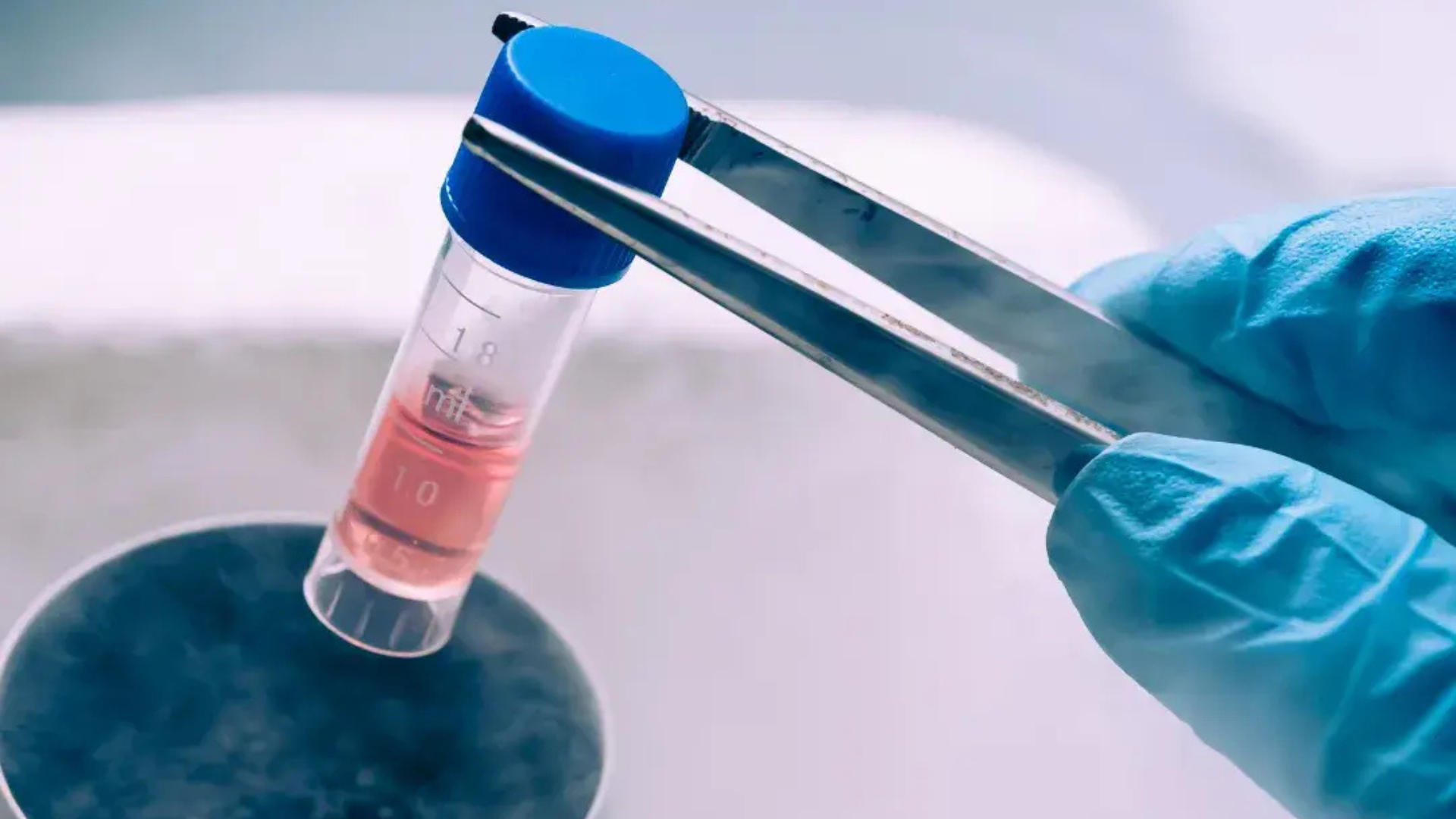 A person is holding a test tube with a blue cap and tweezers.