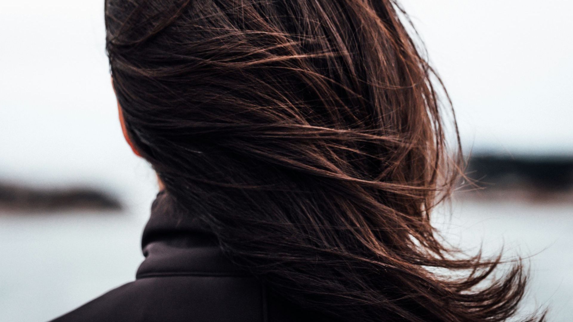The back of a woman 's head with her hair blowing in the wind.