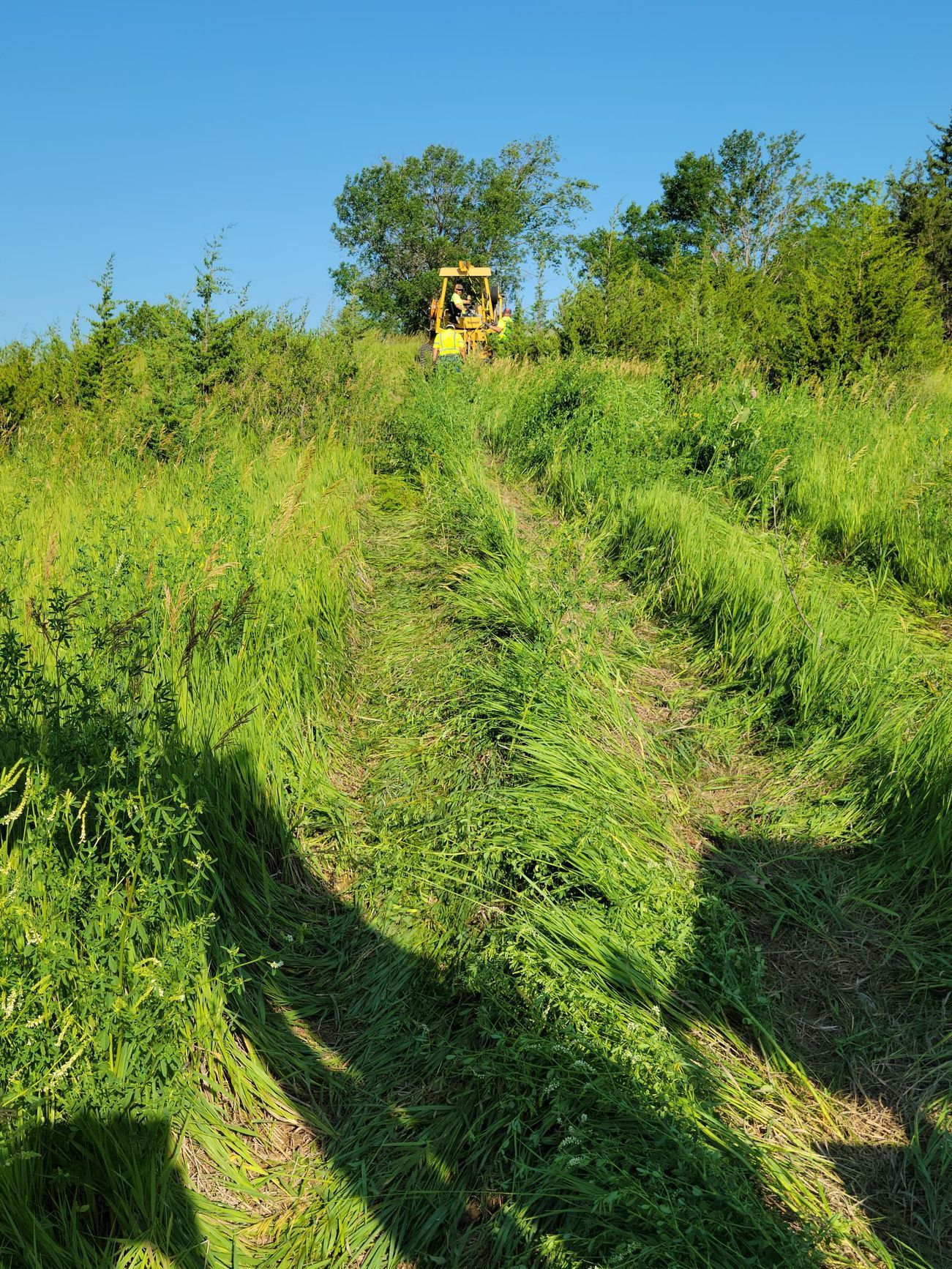 A yellow tractor mows tall green grass on a hillside under a blue sky.