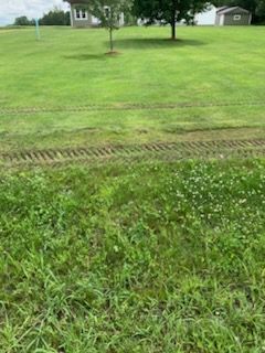 Green field with two areas of grass. Some grass is short, and some is tall.