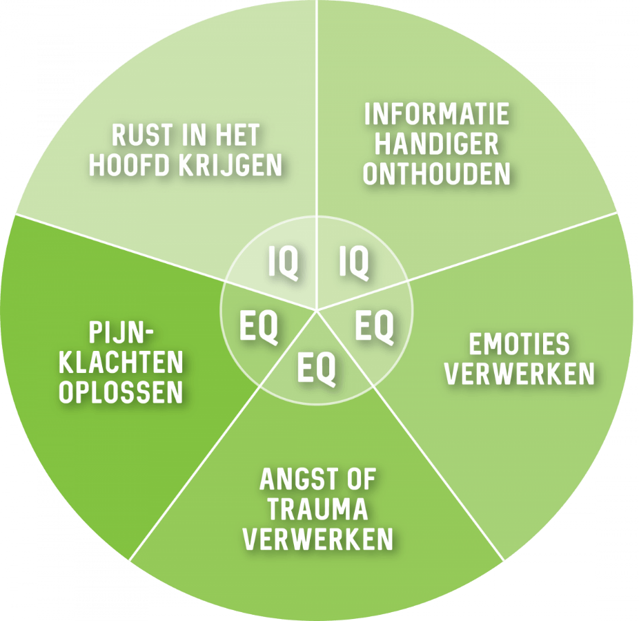 Een cirkelvormig diagram in verschillende tinten groen met vijf segmenten rond een centrale kern, waarop IQ en EQ zijn gelabeld.