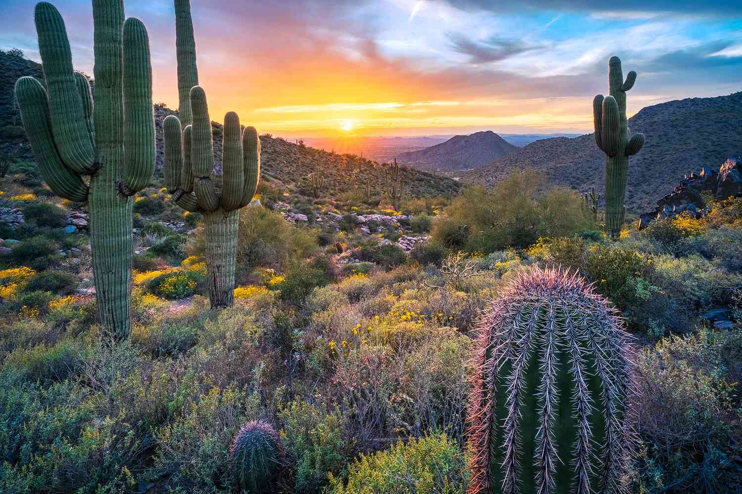 Valley of the Sun, AZ