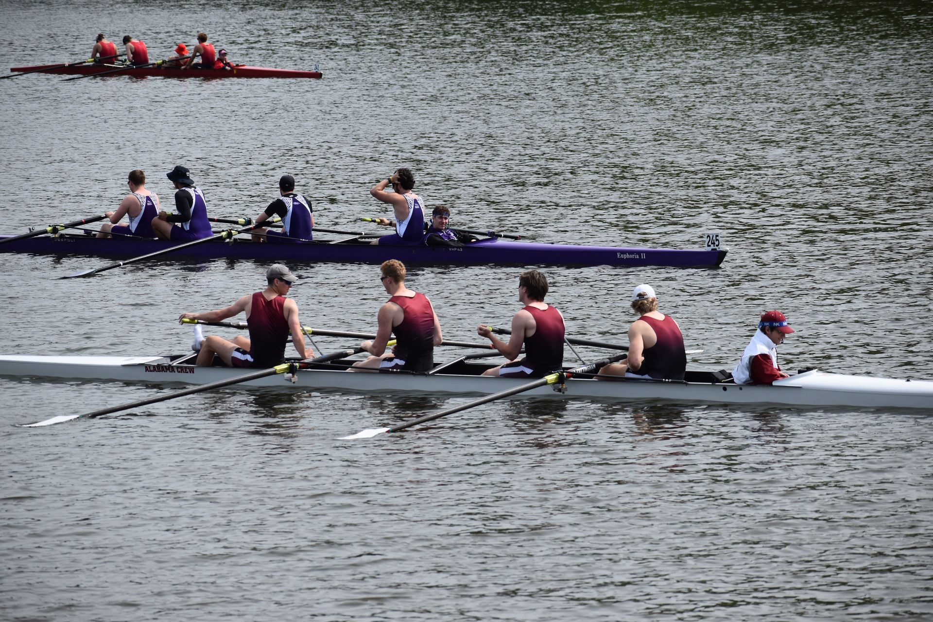 Rowing teams compete on a lake. Several boats with rowers are visible, with some in red, blue, and purple uniforms.