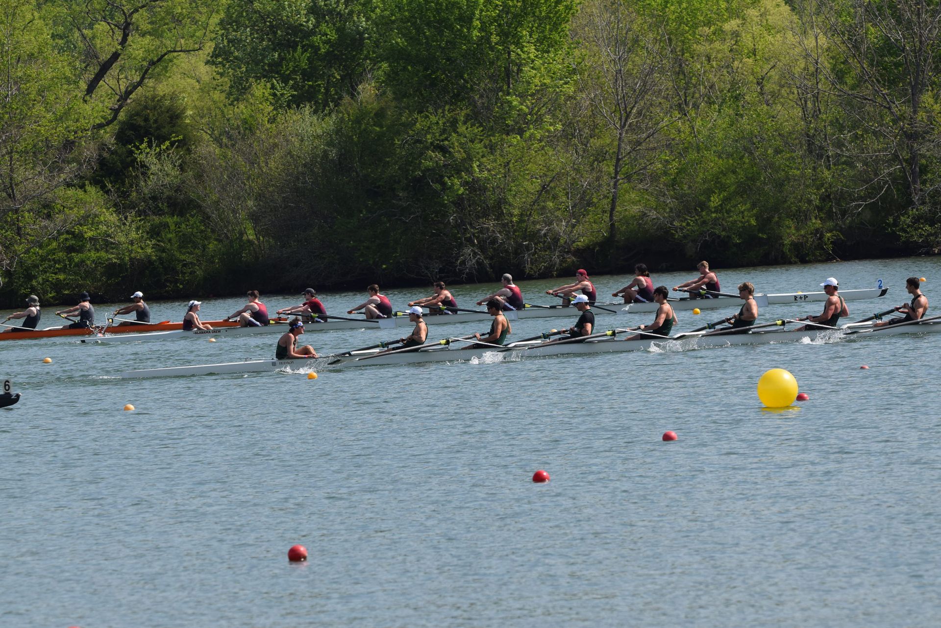 Rowing teams compete on a lake. Several boats race, with rowers in each, under a sunny sky.