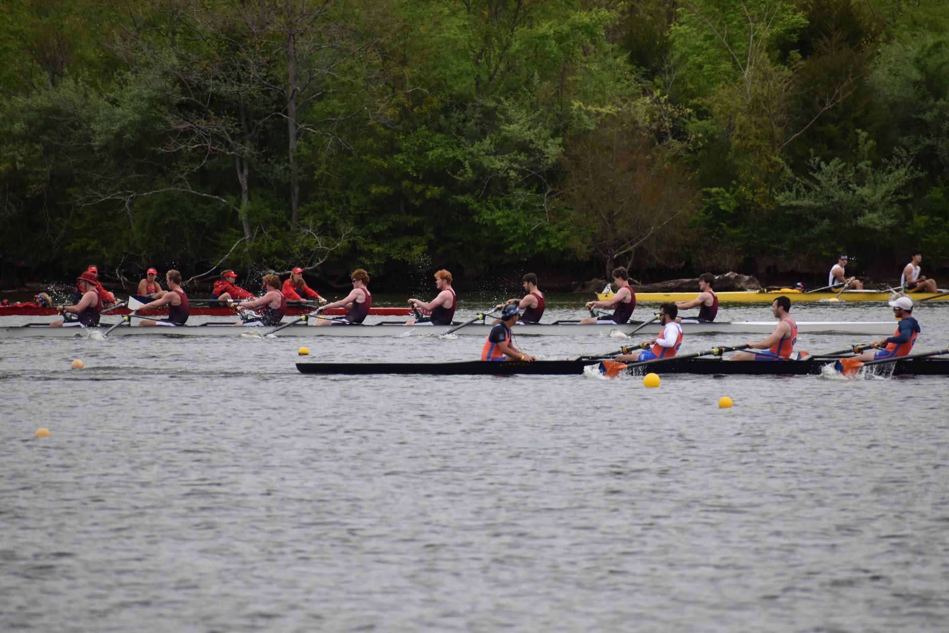 Rowing race on a river. Several boats with rowers in action, trees line the background.