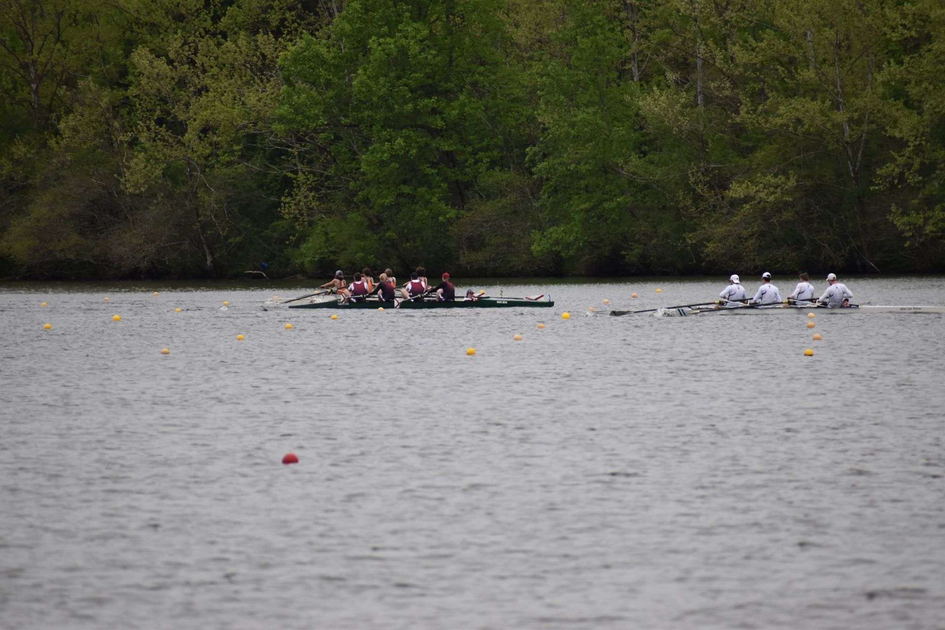 Two rowing teams competing on a lake. One boat is brown, the other is white. Trees line the distant shore.
