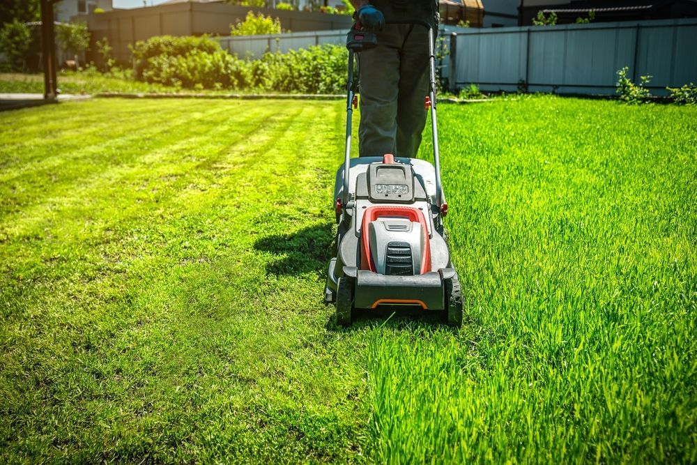 Person mowing a green lawn with a push mower in a sunny backyard