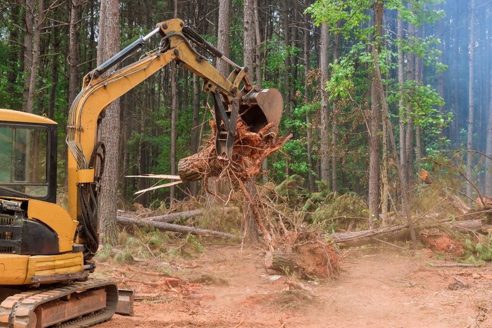 Yellow excavator lifting a tree stump in a forest clearing