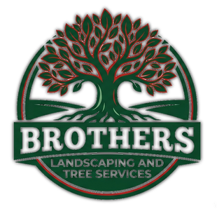 BROTHERS Landscaping and Tree Services logo with green tree and red outline
