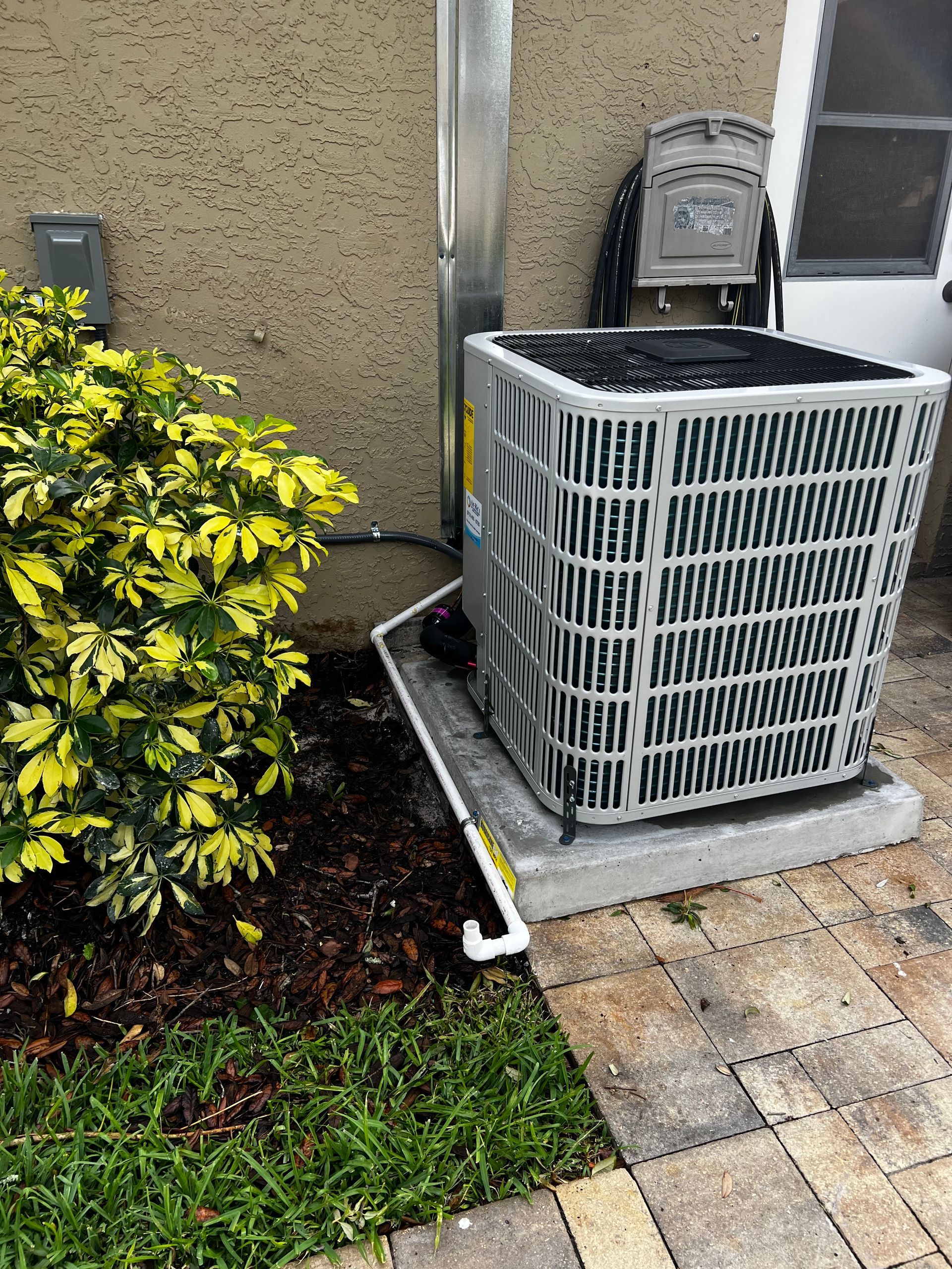 Outdoor air conditioner unit beside a house wall, next to a shrub and paved walkway