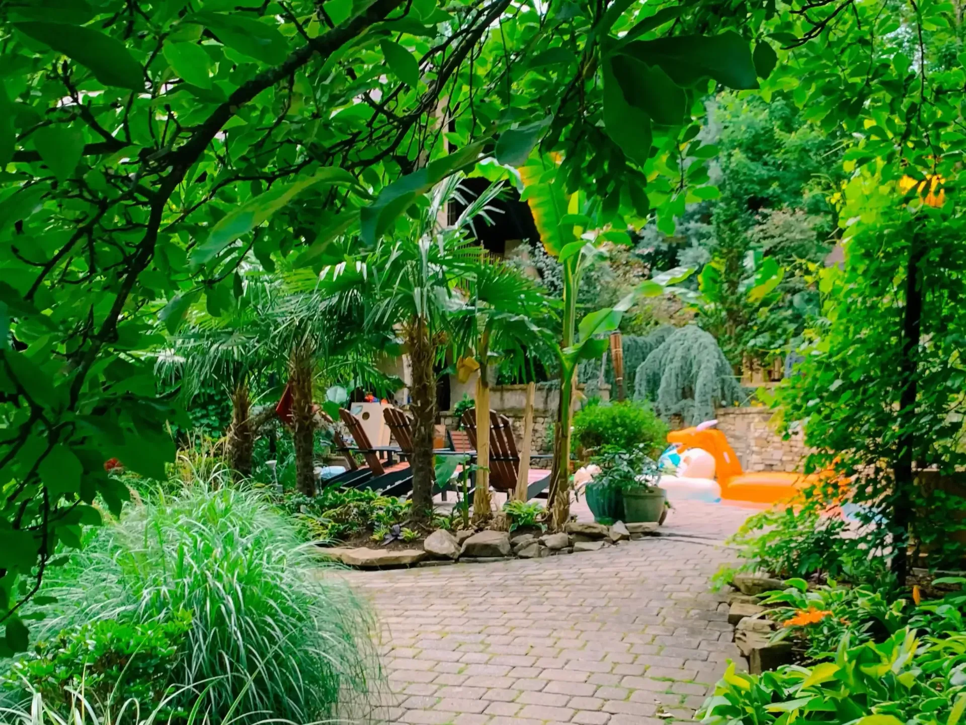 A brick walkway surrounded by trees and bushes leading to a pool.