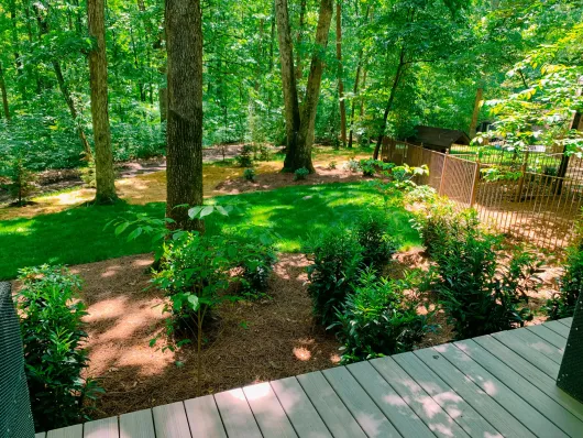 A view of a lush green forest from a deck.