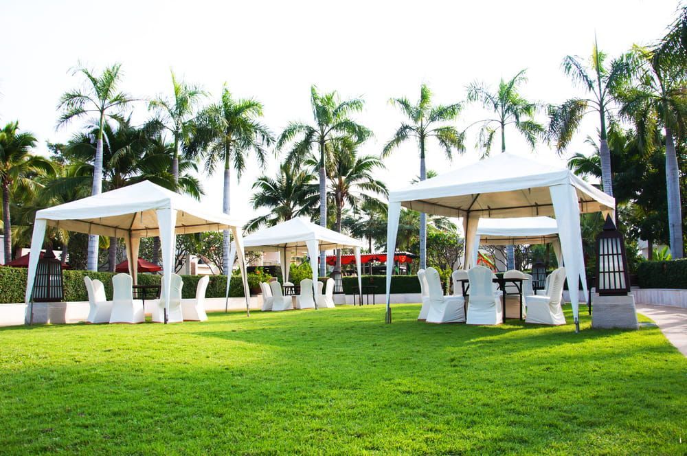 White canopy tents on a green lawn with white chairs and tables, palm trees in the background