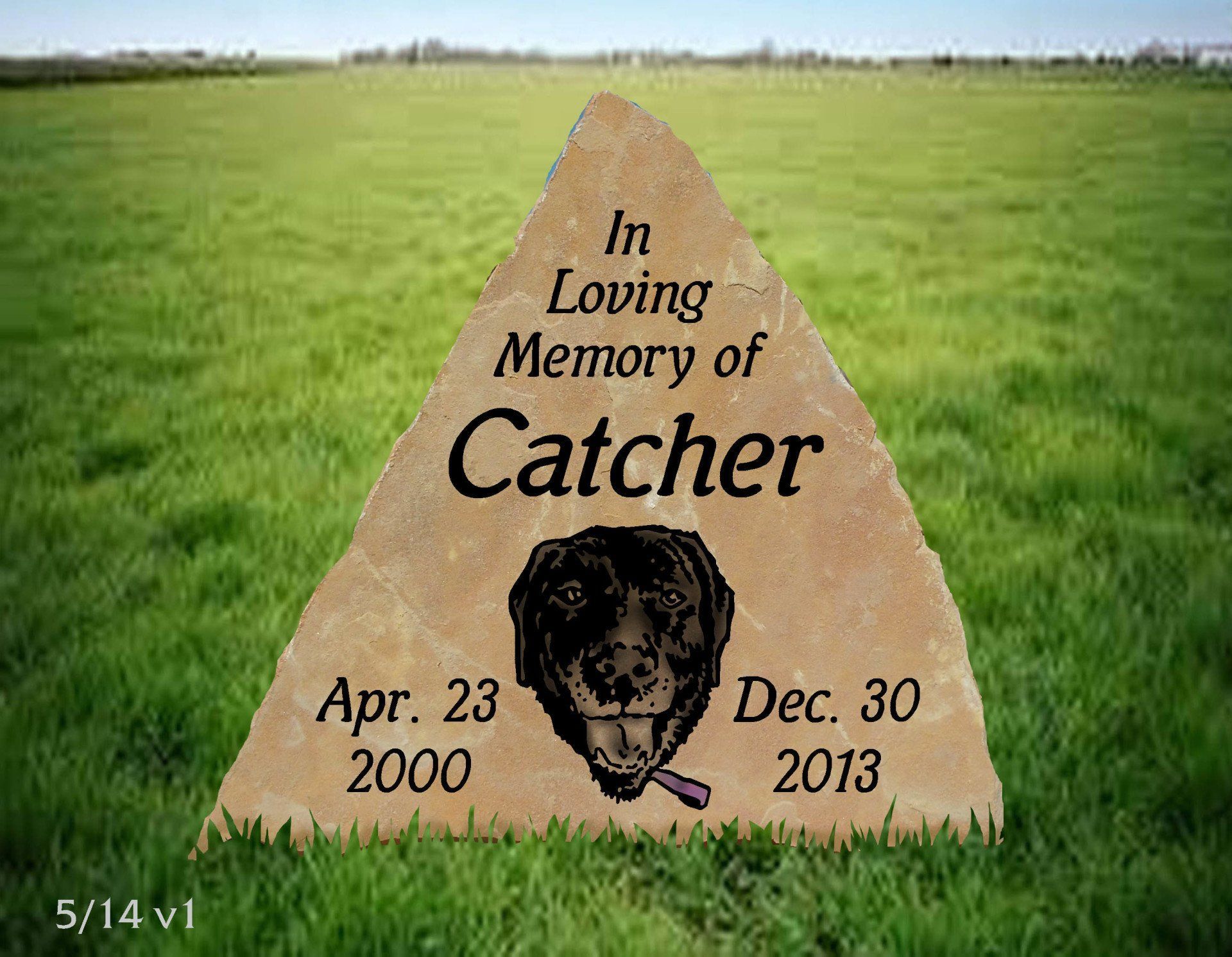 Brown memorial marker in a grassy field, reading “In Loving Memory of Catcher,” with dates Apr. 23, 2000–Dec. 30, 2013.