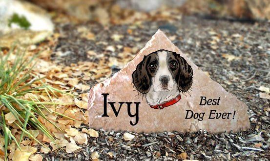 Rock sign with a black-and-white dog photo and the words “Ivy” and “Best Dog Ever!”