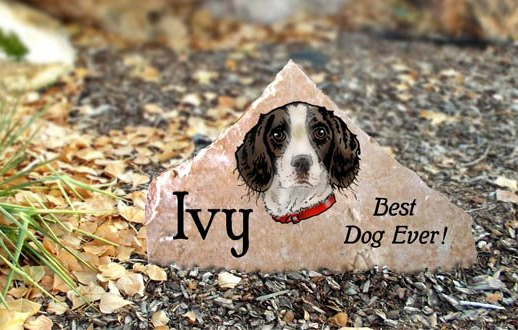 Small dog peeks through a rock cutout on gravel, with “Ivy” and “Best Dog Ever!” text.