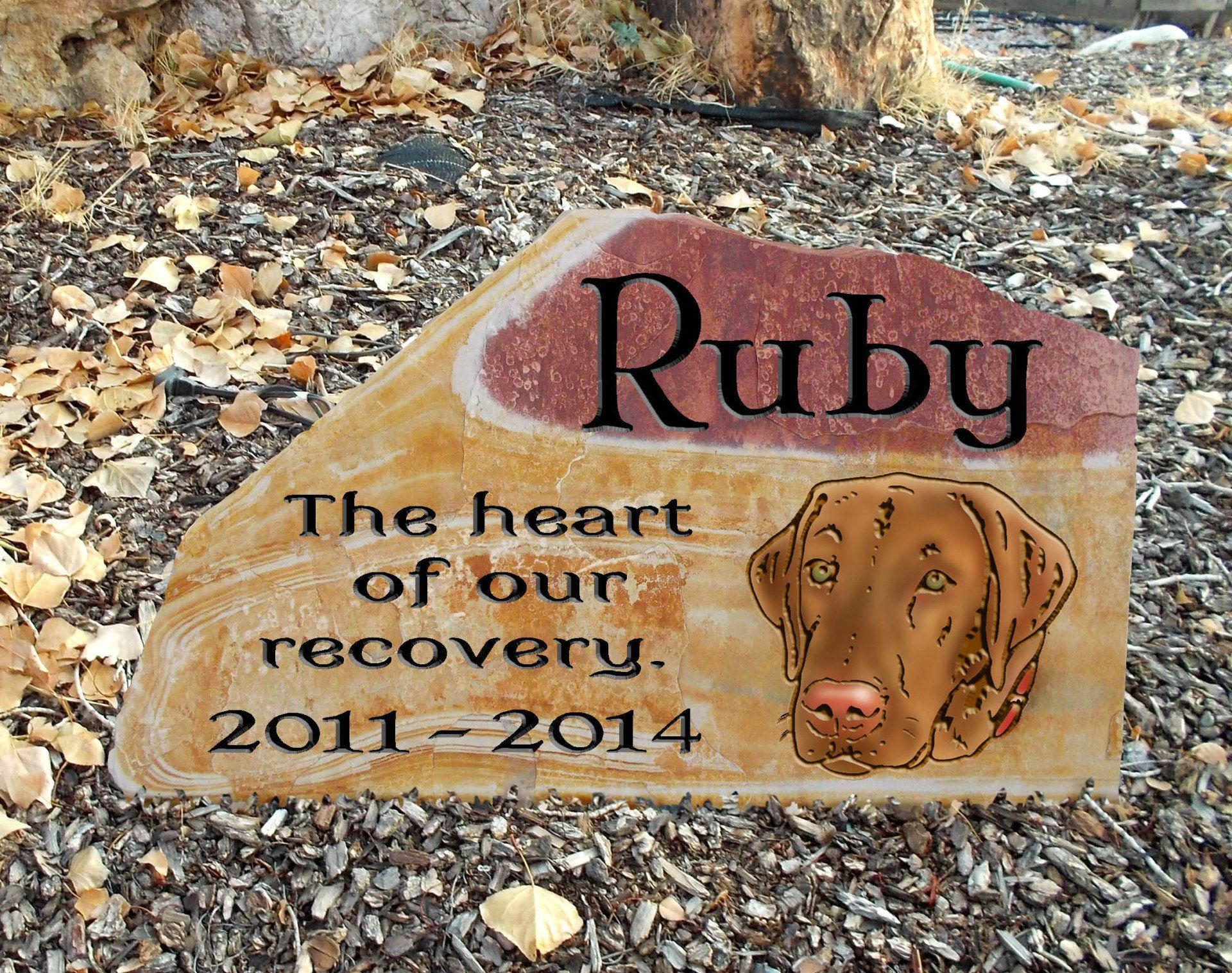 Memorial stone for Ruby, with dog portrait and the inscription “The heart of our recovery, 2011–2014.”