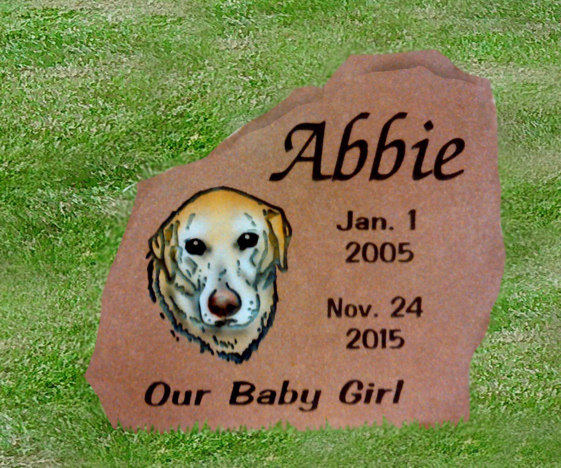 Pink pet memorial stone for Abbie with dog portrait and dates, on grass