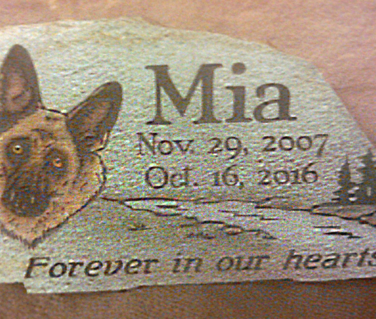 Pet memorial stone for Mia with German shepherd portrait, dates Nov. 20, 2007–Oct. 16, 2016, “Forever in our hearts”